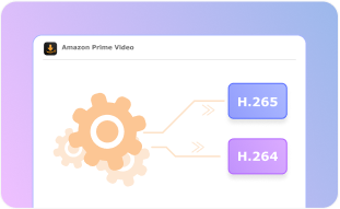 Customizable Video Codec