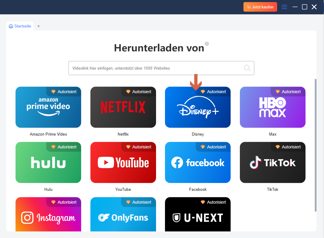 Log into Disney Plus on MovPilot