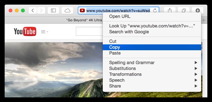 YouTube Video-URL eingeben