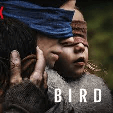 Bird Box