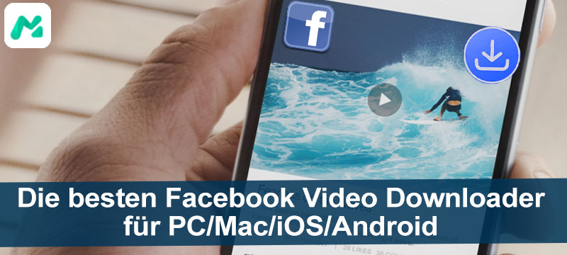 Die besten Facebook Video Downloader