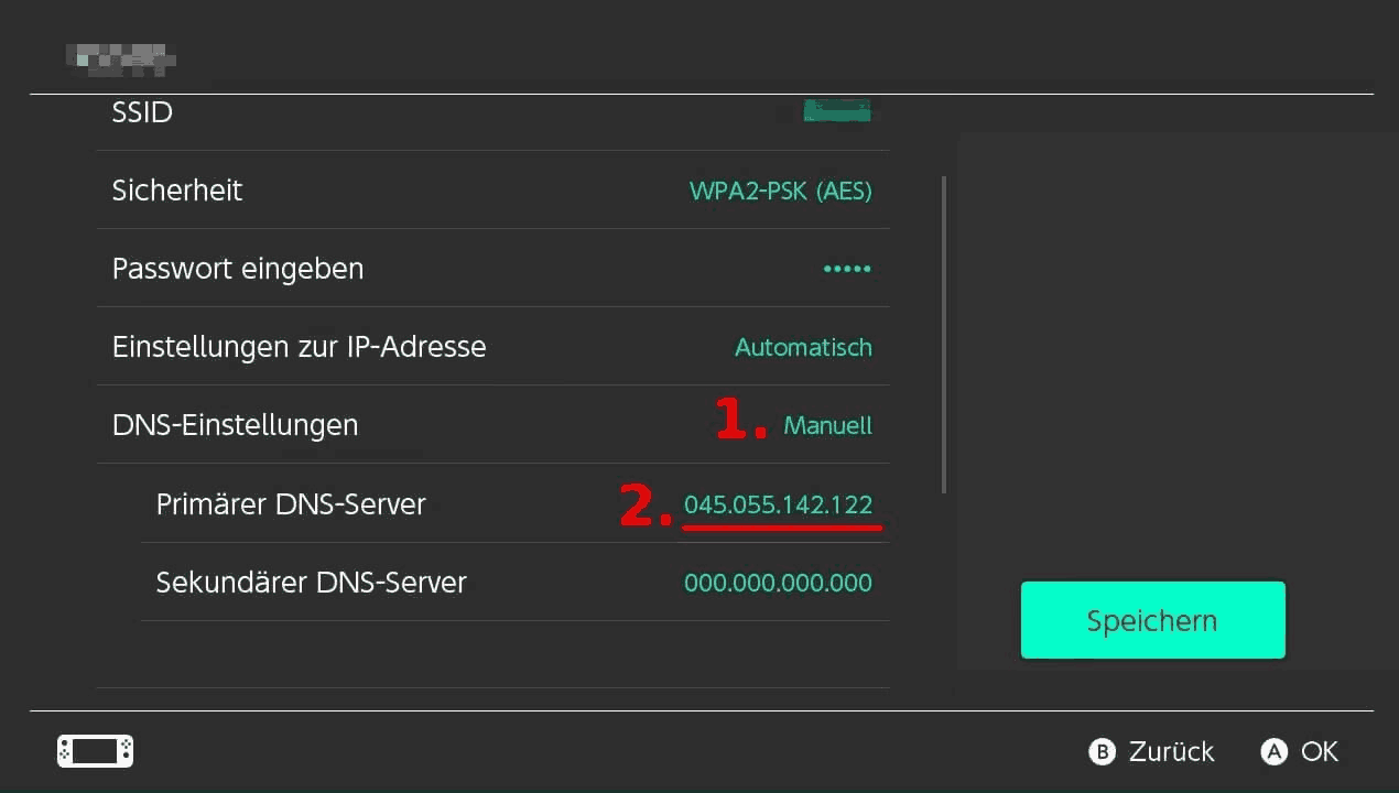 DNS-Einstellungen bei Switch