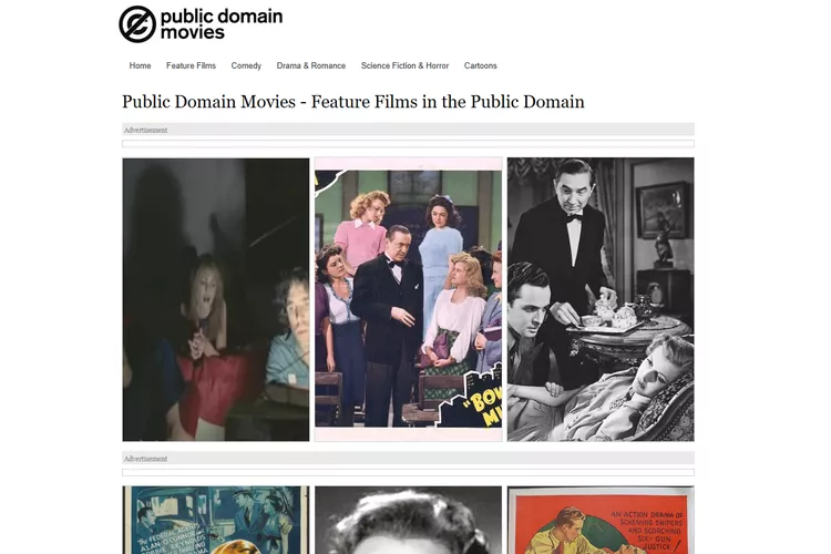 Public Domain Movies