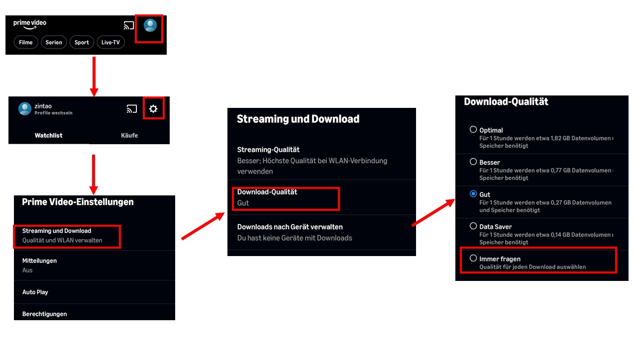 Download Qualität auswählen