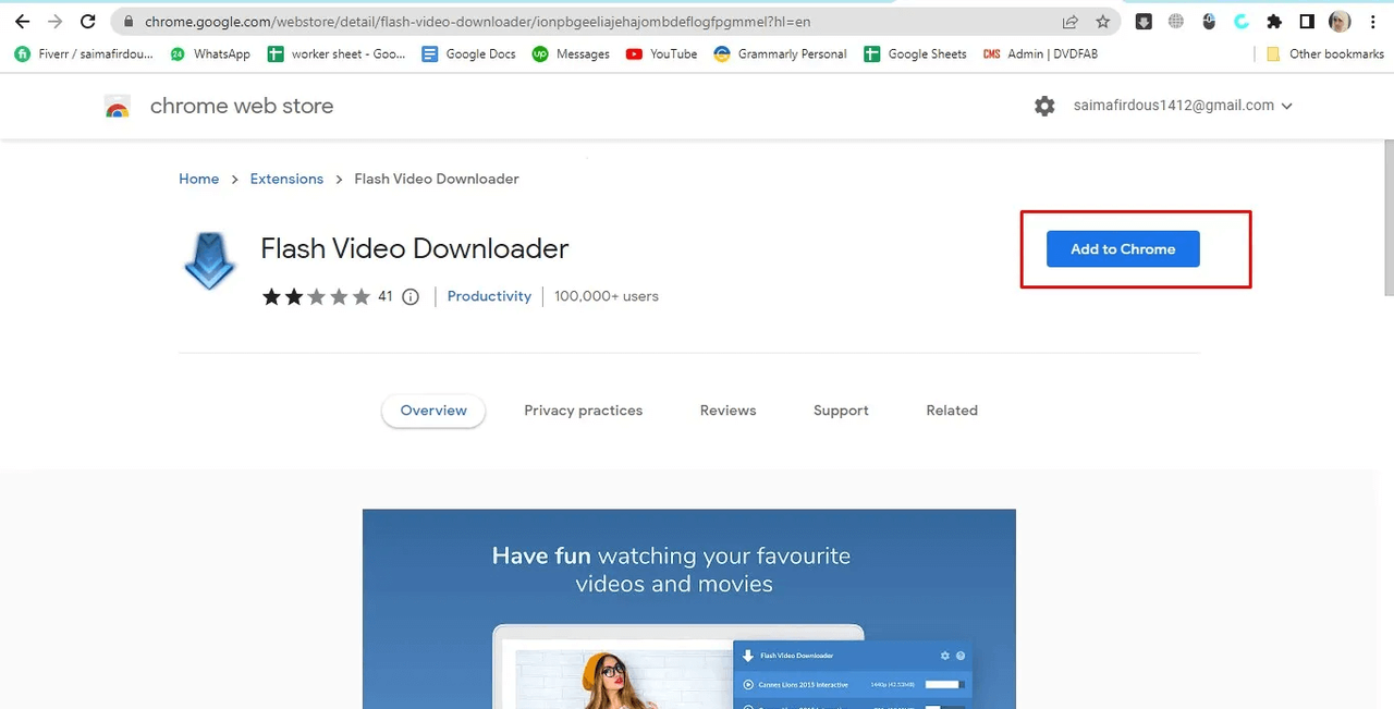 Flash Video Downloader installieren