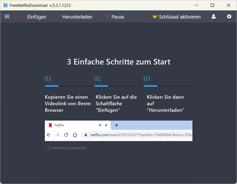 Hauptoberfläche von Free Netflix Downloader