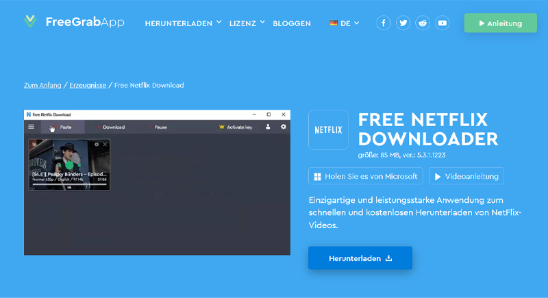 Free Netflix Downloader online Website