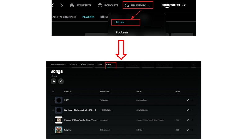 Songs in deiner Bibliothek importierten