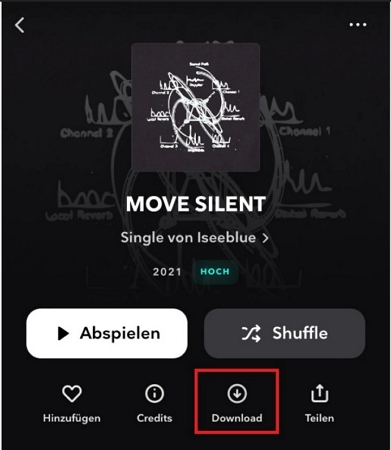 keine lokalen Musikdateien abspielen