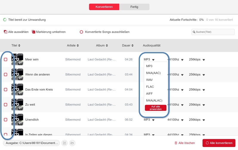 Professionelle Spotify Downloader - schritt 3