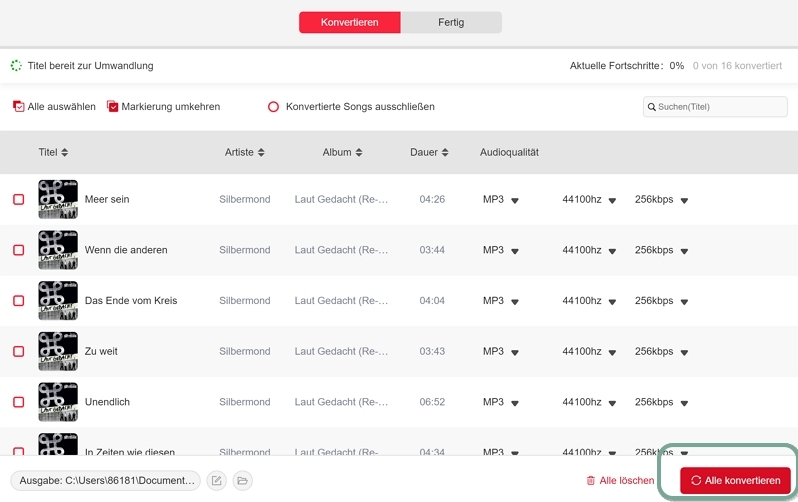 Professionelle Spotify Downloader - schritt 4