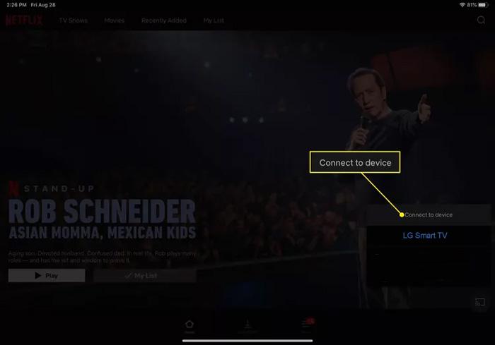 Netflix App mit Smart TV verbinden