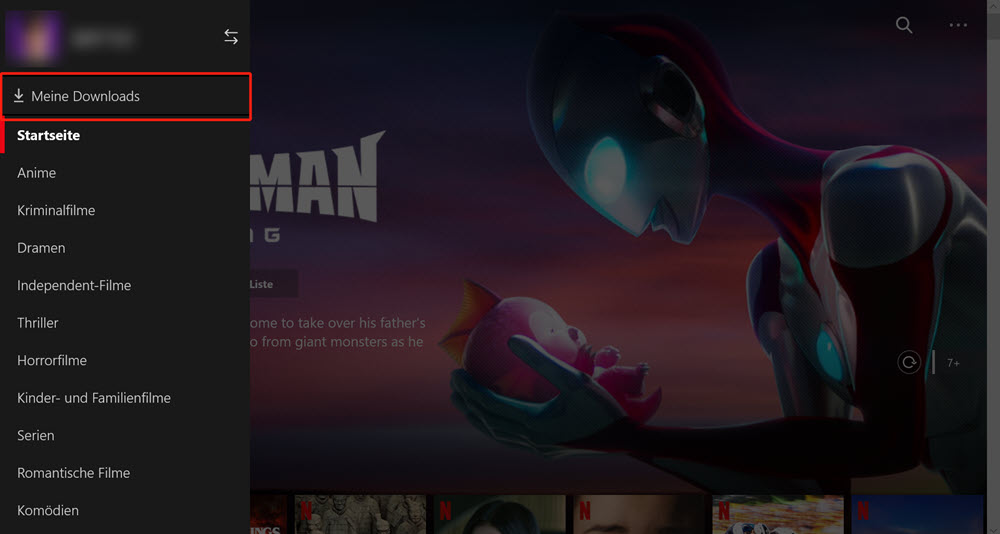 Meine Downloads auf Netflix unter Windows finden