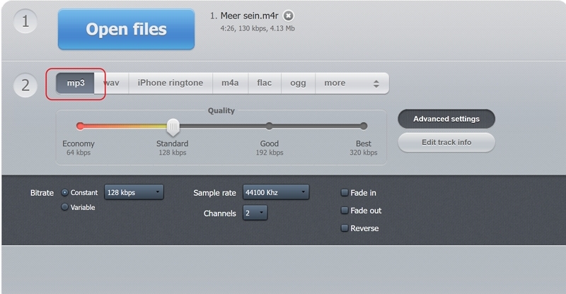 Wähle als Zielformat MP3