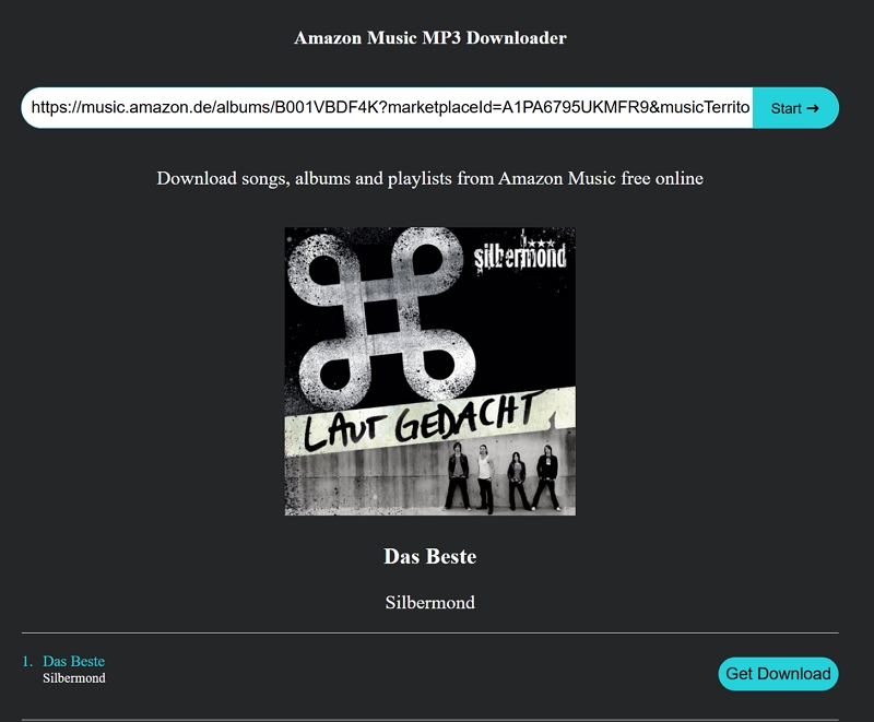 Amazon Music als MP3 speichern - Kostenlose Online-Downloader schritt 3