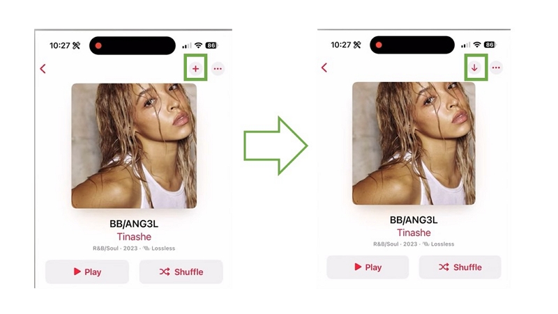 Apple Music Album und Playlist herunterladen