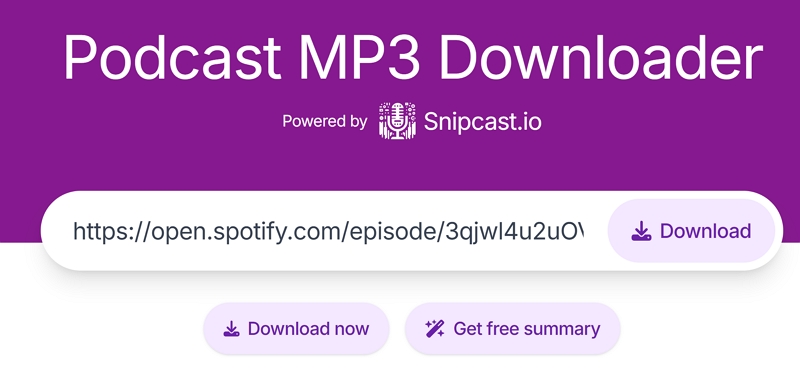 Online Spotify Podcast Downloader - schritt 3