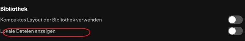 Lokale Musikdateien auf Spotify hören - Schritt 2