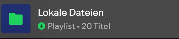 Lokale Musikdateien auf Spotify hören - Schritt 4