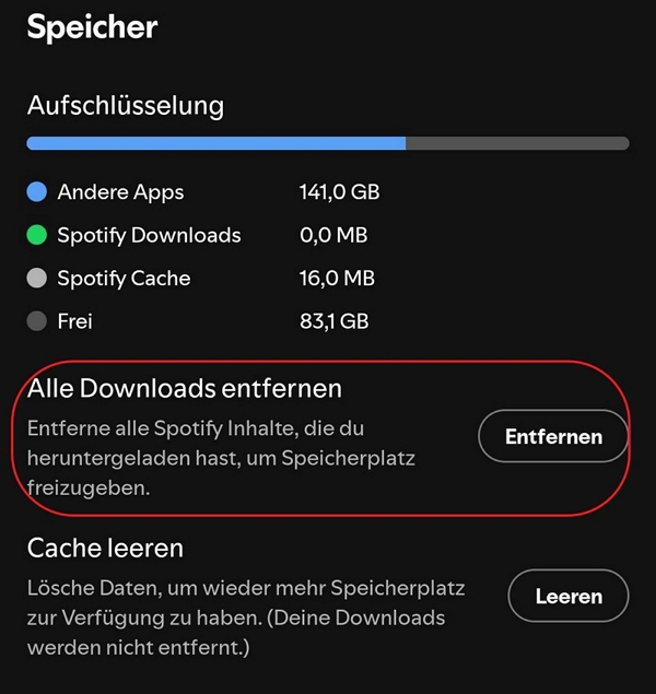 Speicherplatz prüfen und Downloads löschen