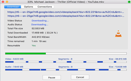 Video downloaden bei Neat Download Manager