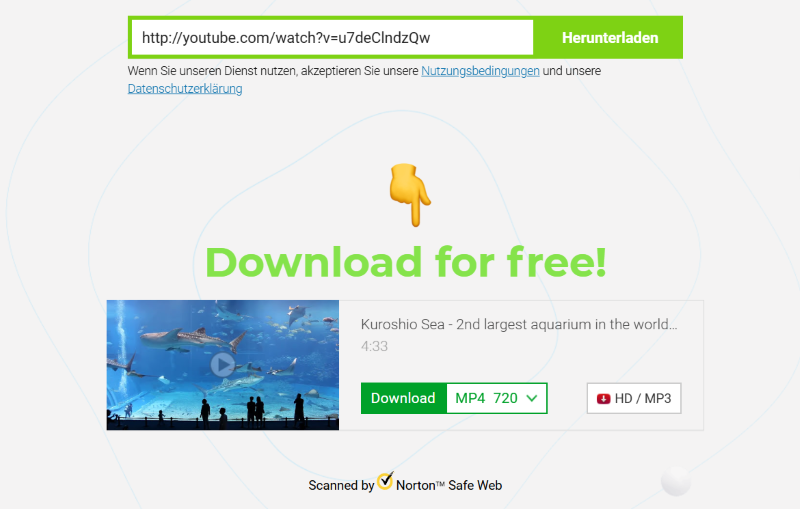 Video herunterladen SaveForm