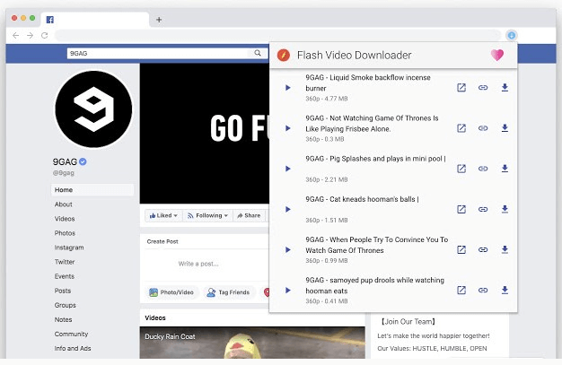 Video mit Flash Video Downloader speichern