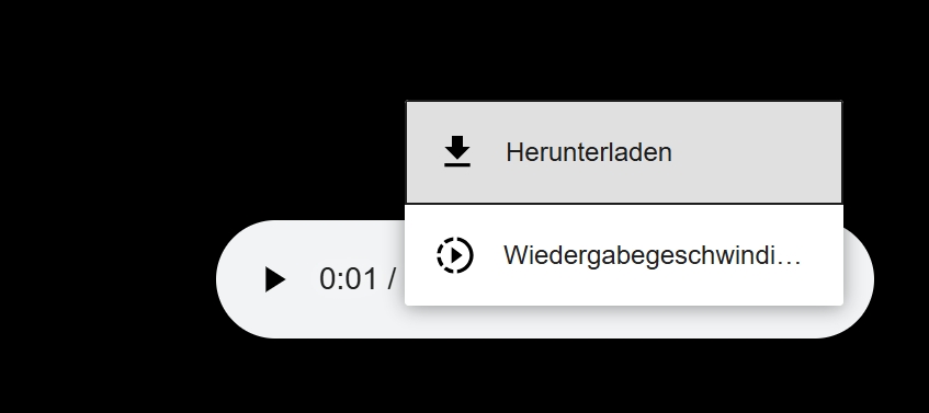 Online Spotify Podcast Downloader - schritt 4